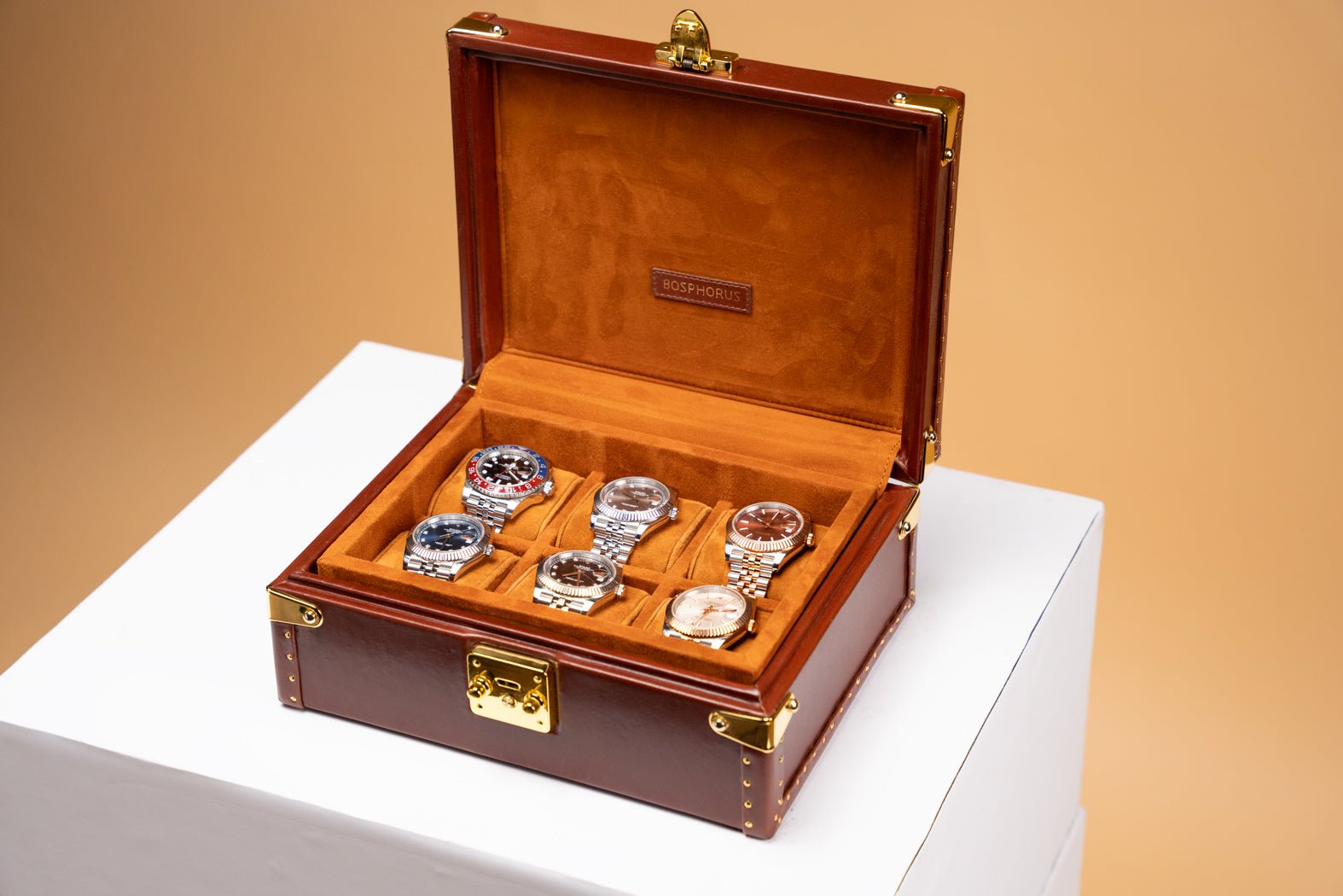 Petra Watch Case - Montana 01